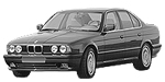 BMW E34 P0C6C Fault Code